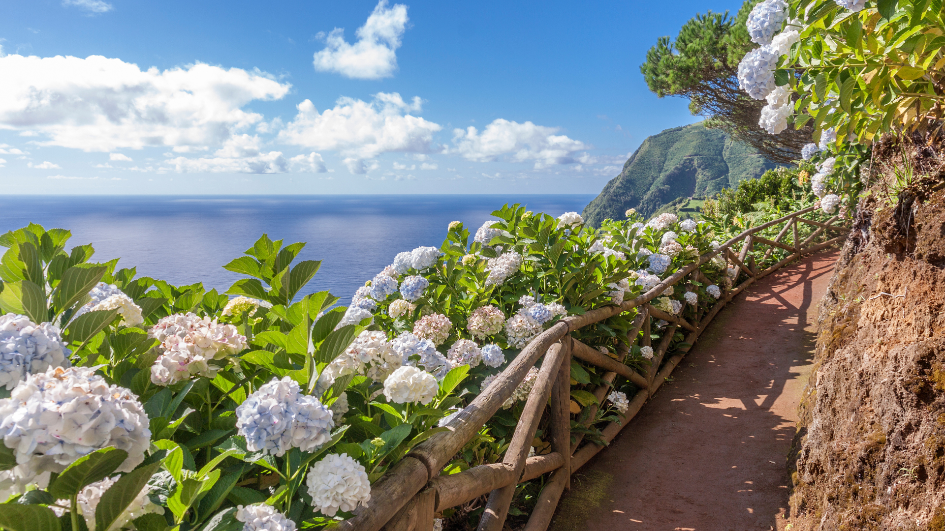 Hiking and Sipping Portugals Best Trails (2)